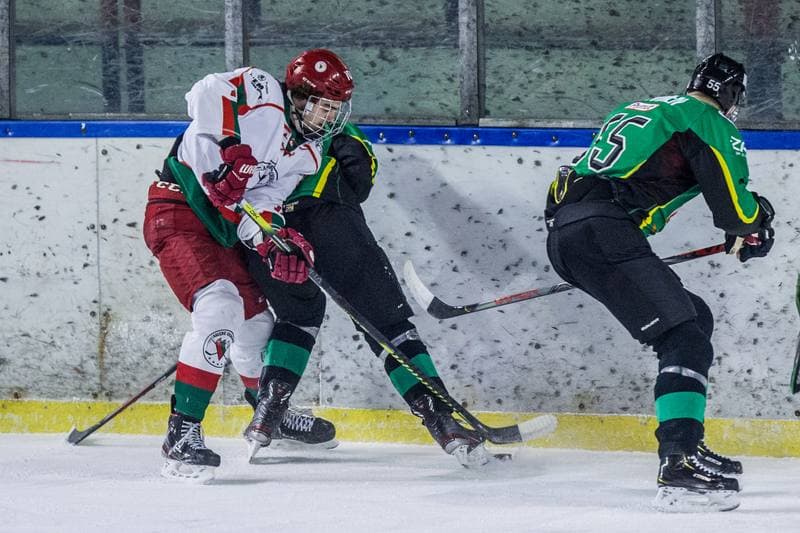 Ice Hockey. PHL. Zaglebie Sosnowiec - JKH GKS Jastrzebie. 21.01.2020