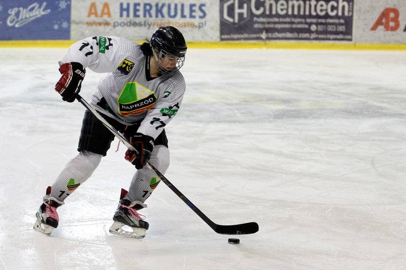 Ice Hockey. PLHK. Naprzod Janow - Kozice Poznan. 11.02.2018