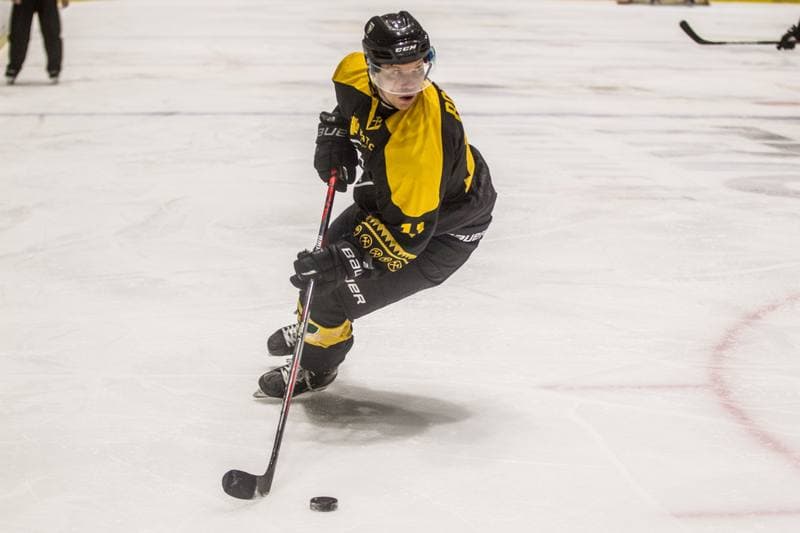 Ice Hockey. PHL. Re-Plast Unia Oswiecim - GKS Katowice. 29.01.2021