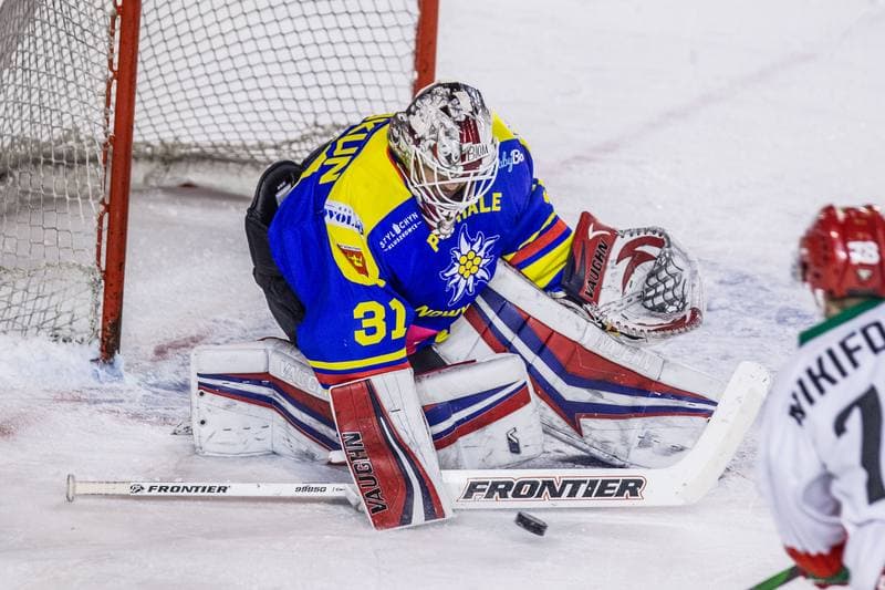 Ice Hockey. PHL. Zaglebie Sosnowiec - Tauron Podhale Nowy Targ. 22.01.2021