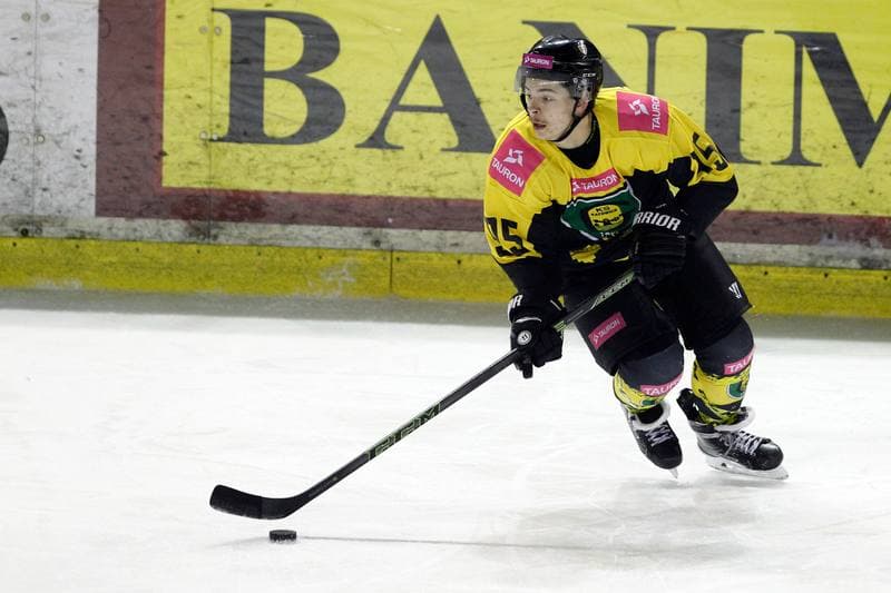 Ice Hockey. Polska Hokej Liga. Zaglebie Sosnowiec - Tauron KH GKS Katowice. 23.11.2018