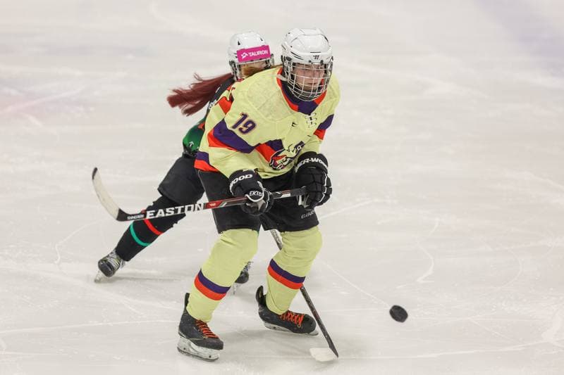 Ice Hockey. Tauron Liga Kobiet. Wiedzmy 71 Wroclaw - Kojotki Naprzod Janow. 03.12.2023