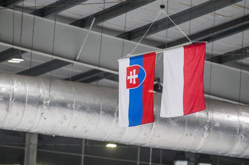 Ice Hockey. Visegrad Cup. JKH GKS Jastrzebie - HK Nitra. 16.01.2020