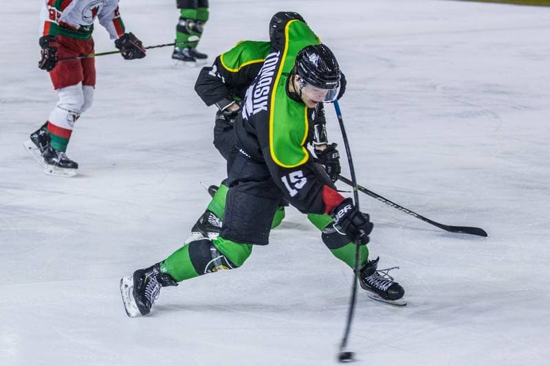 Ice Hockey. PHL. Zaglebie Sosnowiec - GKS Katowice. 26.01.2020