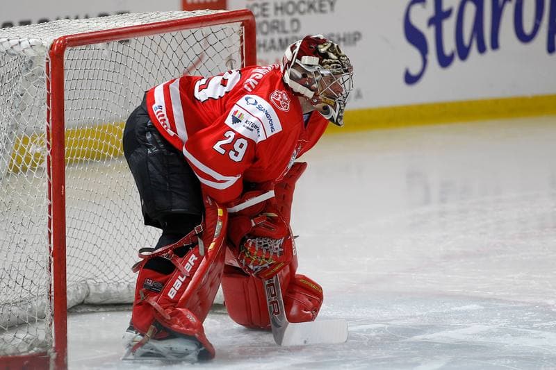Ice Hockey. EIHC. Poland - France. 19.12.2015
