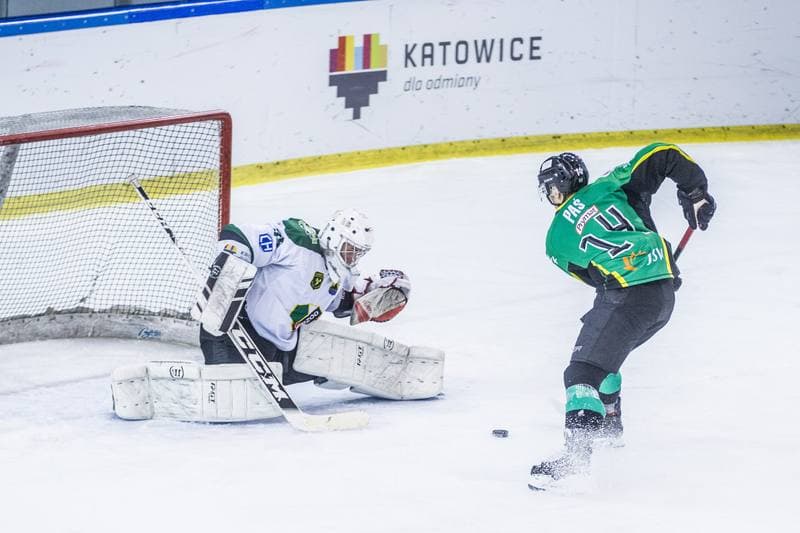 Ice Hockey. PHL. Naprzod Janow - JKH GKS Jastrzebie. 17.01.2020