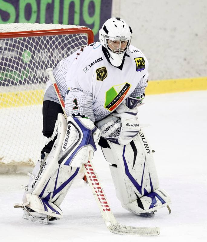 Ice Hockey. Polska Hokej Liga. Naprzod Janow - Podhale Nowy Targ. 14.11.2014