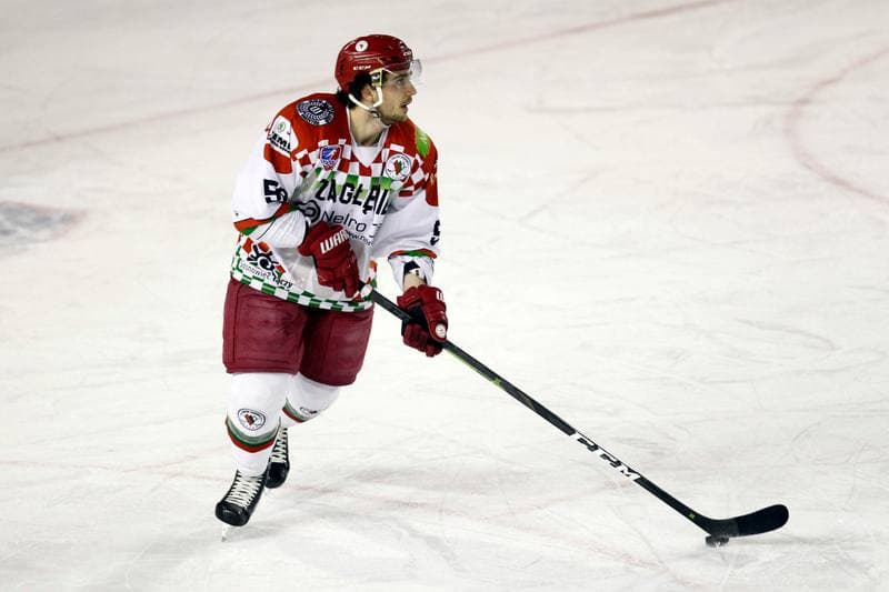 Ice Hockey. Polska Hokej Liga. Zaglebie Sosnowiec - Orlik Opole. 17.02.2019