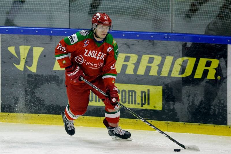 Ice Hockey. Polska Hokej Liga. Naprzod Janow - Zaglebie Sosnowiec. 23.02.2019