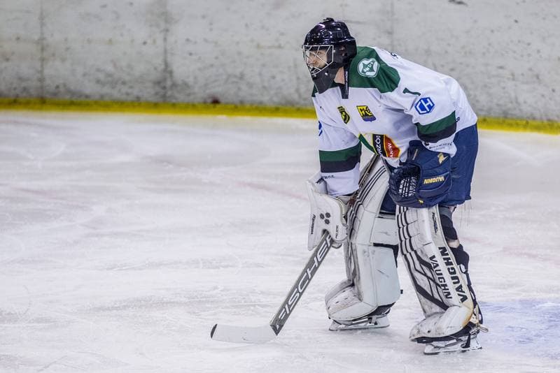 Ice Hockey. PHL. Naprzod Janow - JKH GKS Jastrzebie. 22.10.2019