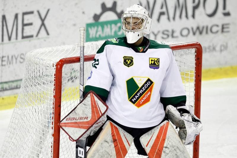 Ice Hockey. Polska Hokej Liga. Naprzod Janow - Zaglebie Sosnowiec. 23.02.2019