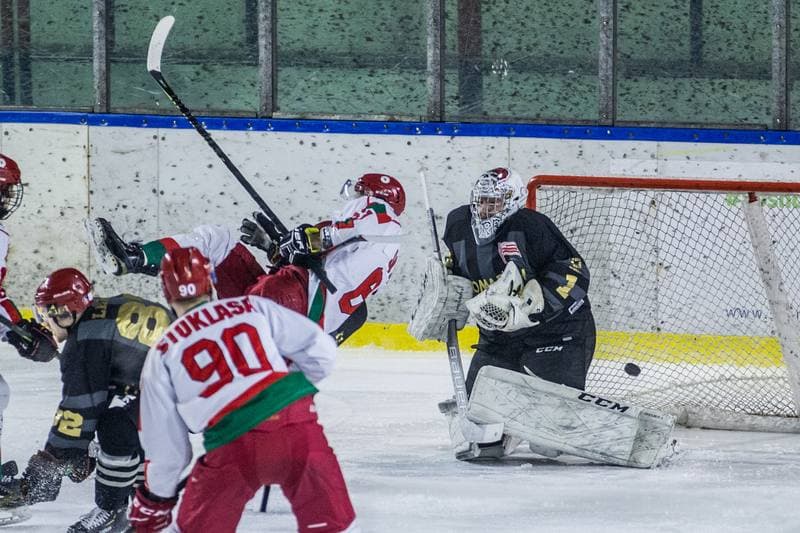 Ice Hockey. PHL. Zaglebie Sosnowiec - Comarch Cracovia. 31.01.2020