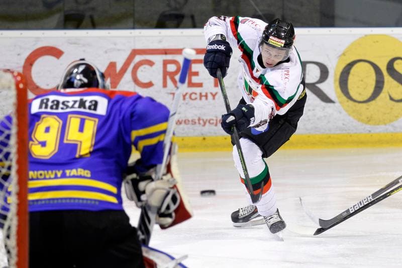 Ice Hockey. Polska Hokej Liga. GKS Tychy - Podhale Nowy Targ. 29.01.2016