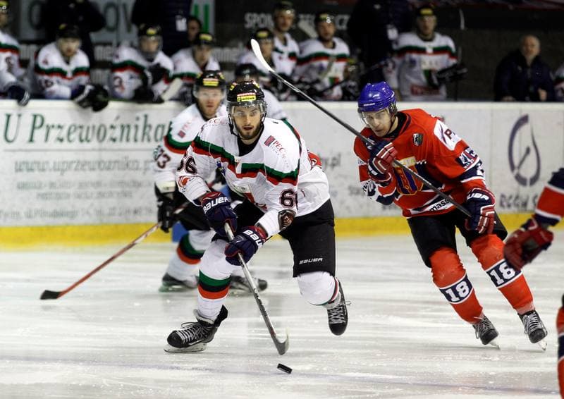 Ice Hockey. Tauron Hokej Liga. GKS Tychy - Polonia Bytom. 19.02.2016