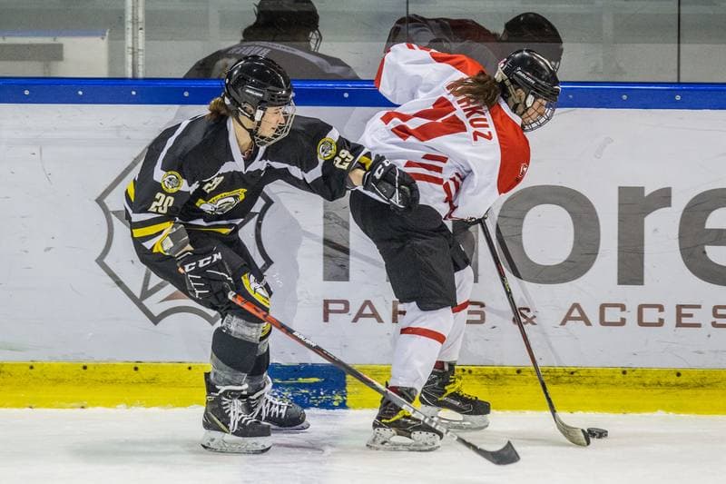 Ice Hockey. EWHL. Polska - DEC Salzburg Eagles. 07.02.2021