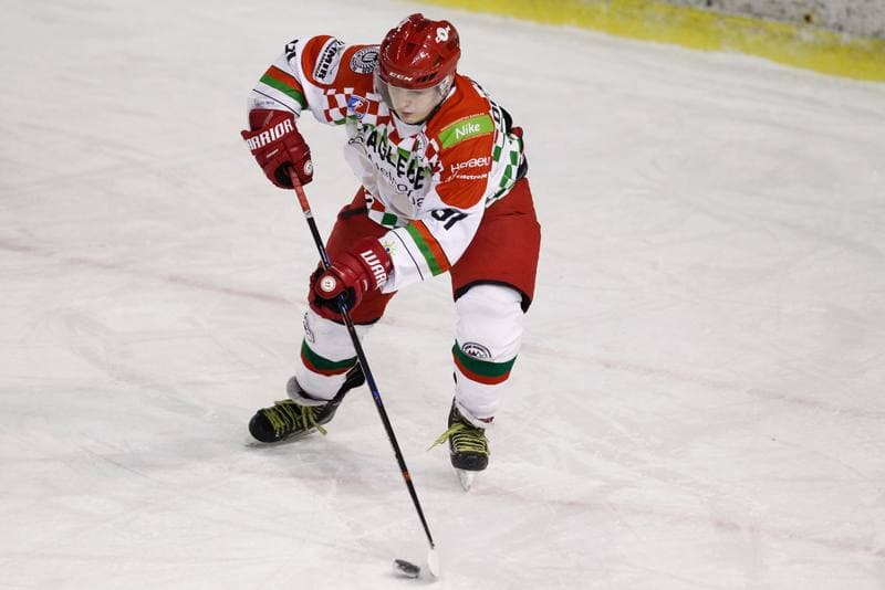 Ice Hockey. Polska Hokej Liga. Zaglebie Sosnowiec - MH Automatyka Gdansk. 02.01.2019