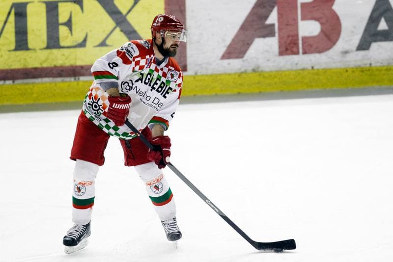 Ice Hockey. Polska Hokej Liga. Zaglebie Sosnowiec - Orlik Opole. 17.02.2019