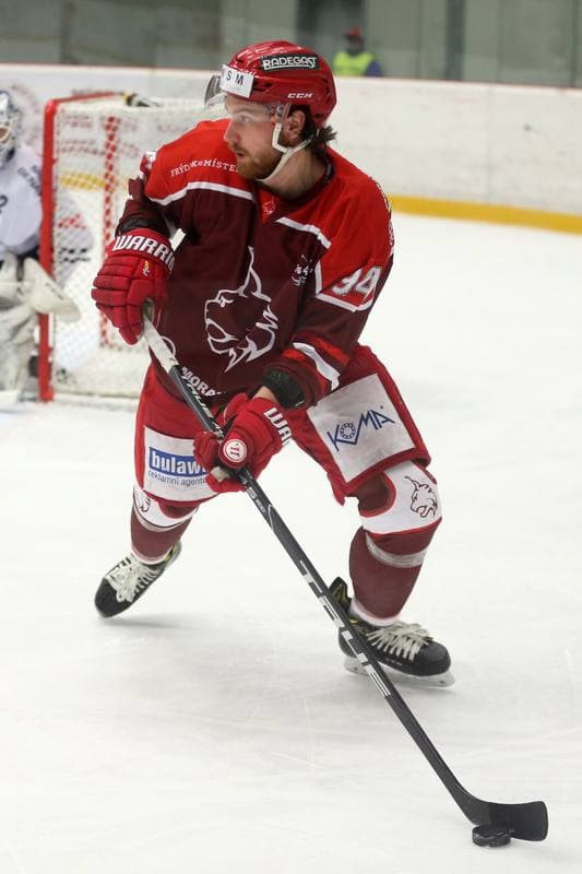 Ice Hockey. WSM Liga. HC Frydek-Mistek - HC Benatky nad Jizerou. 20.02.2017