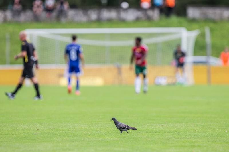 Football. Fortuna I Liga. Zaglebie Sosnowiec - Miedz Legnica. 17.08.2019