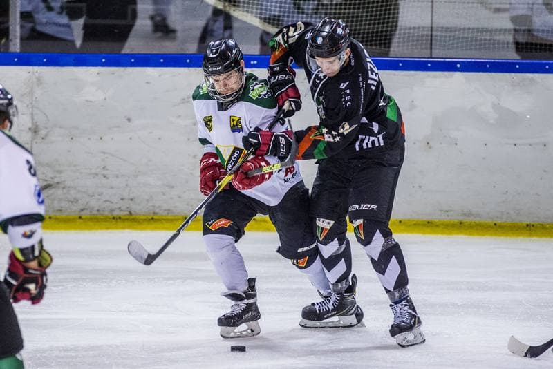 Ice Hockey. PHL. Naprzod Janow - GKS Tychy. 17.11.2019