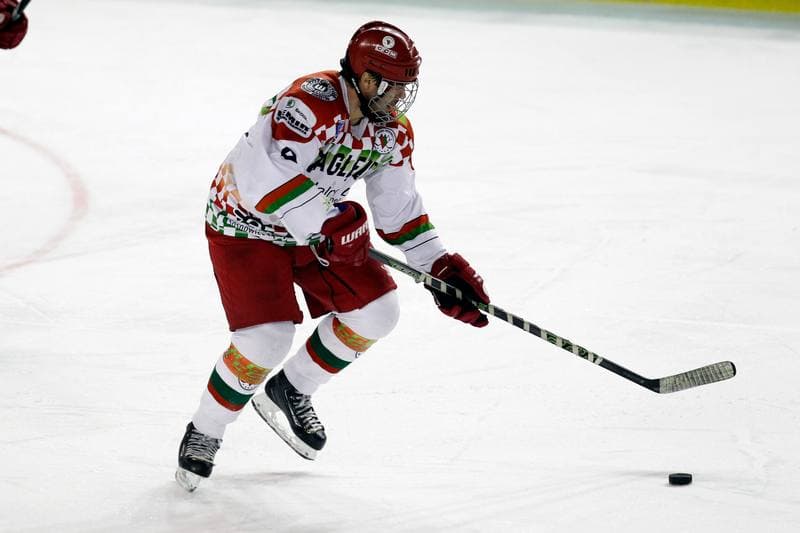 Ice Hockey. Polska Hokej Liga. Zaglebie Sosnowiec - Orlik Opole. 17.02.2019