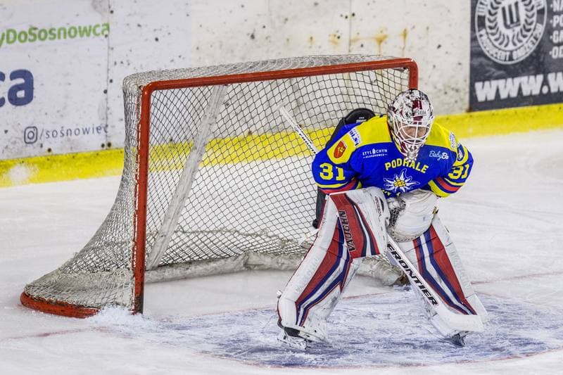 Ice Hockey. PHL. Zaglebie Sosnowiec - Tauron Podhale Nowy Targ. 22.01.2021
