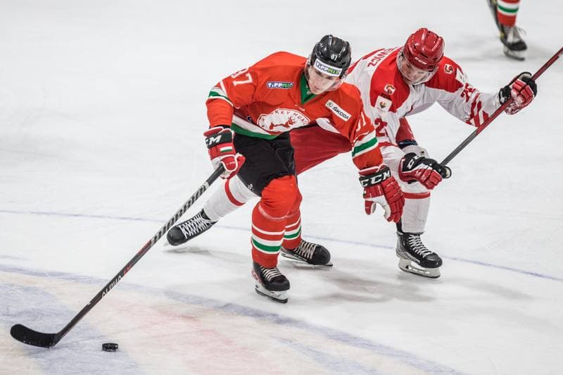 Ice Hockey. EIHC Christmas Cup. Poland - Hungary. 17.12.2021