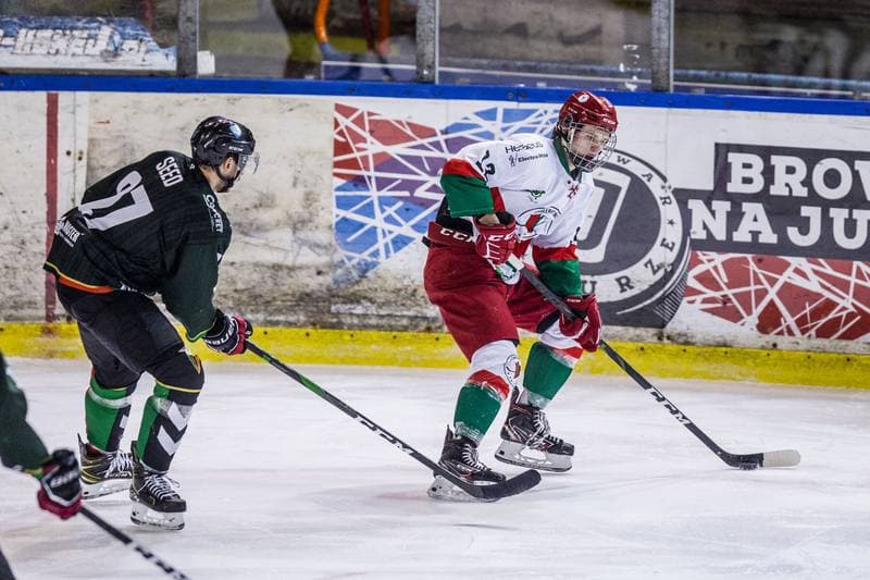Ice Hockey. Polska Hokej Liga. Zaglebie Sosnowiec - GKS Tychy. 15.11.2020