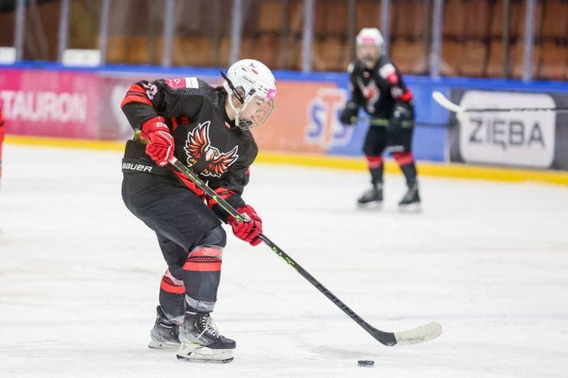Ice Hockey. EWHL. Tauron Metropolia Silesia - Aisulu Almaty. 26.11.2023