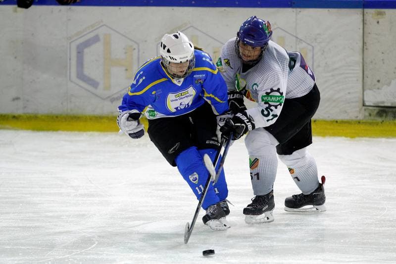 Ice Hockey. PLHK. Naprzod Janow - Unia Oswiecim. 20.01.2018