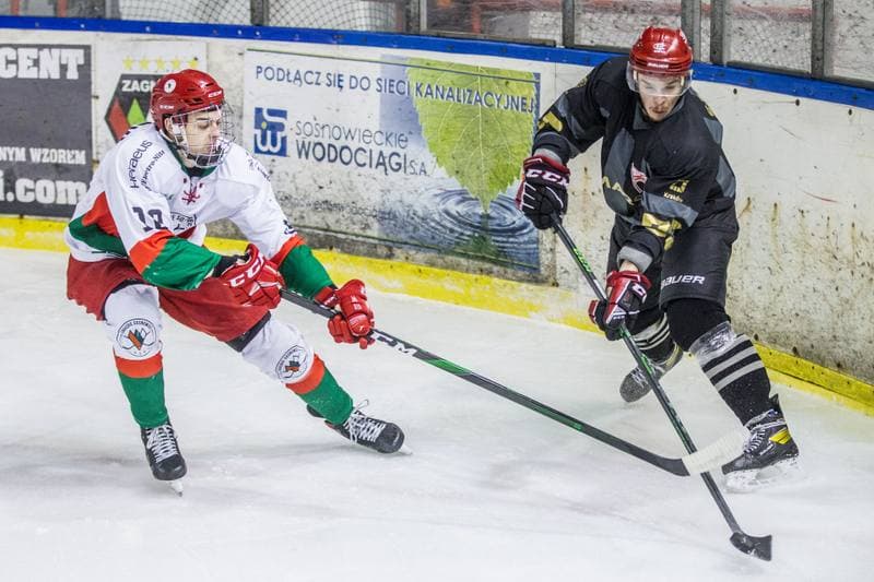 Ice Hockey. PHL. Zaglebie Sosnowiec - Comarch Cracovia. 04.12.2020