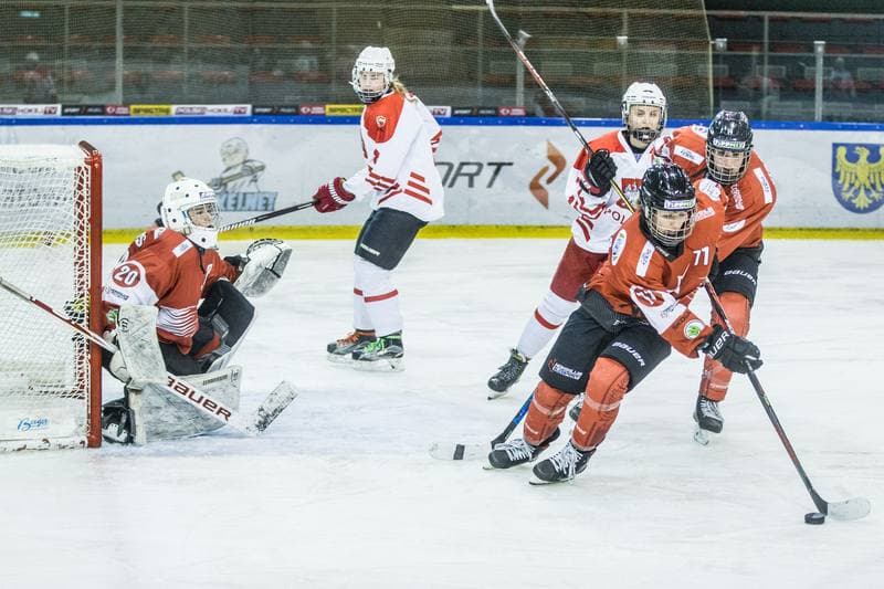 Ice Hockey. EWHL. Polska - KMH Budapeszt. 20.02.2021