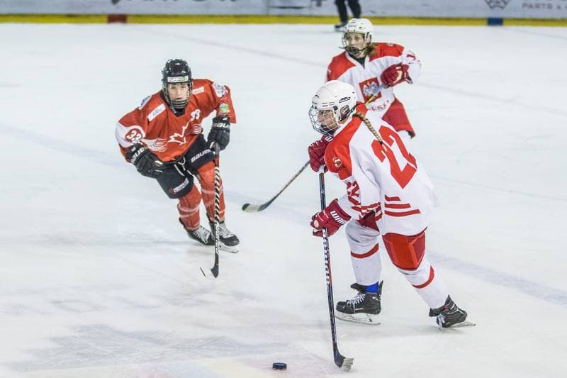 Ice Hockey. EWHL. Polska - KMH Budapeszt. 21.02.2021