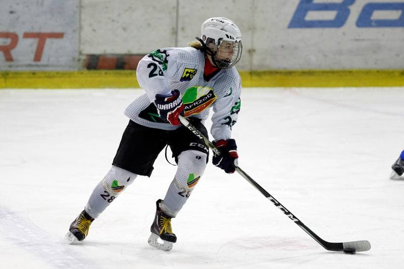 Ice Hockey. PLHK. Naprzod Janow - Unia Oswiecim. 20.01.2018