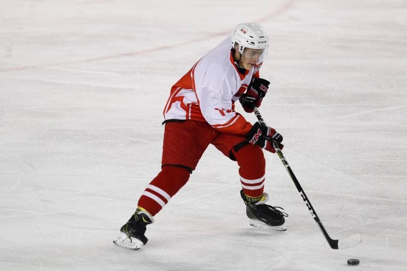 Ice Hockey. Polska Hokej Liga. Zaglebie Sosnowiec - Kadra U23 PZHL. 09.09.2018