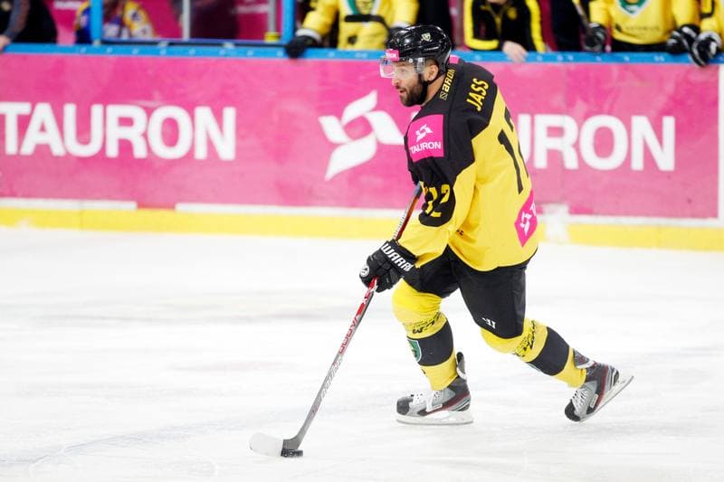 Ice Hockey. Polska Hokej Liga. Tauron KH GKS Katowice - TatrySki Podhale Nowy Targ. 06.04.2019