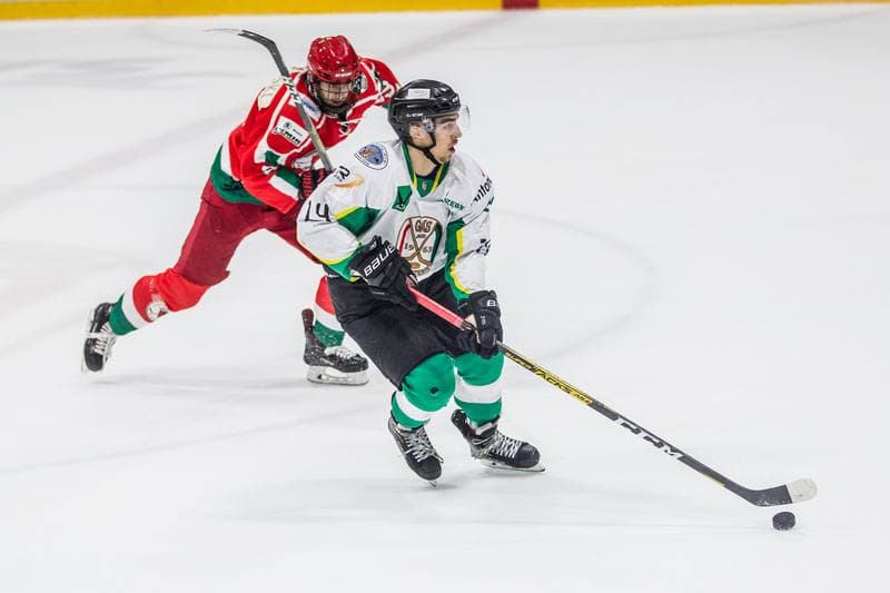 Ice Hockey. PHL. JKH GKS Jastrzebie - Zaglebie Sosnowiec. 20.10.2019