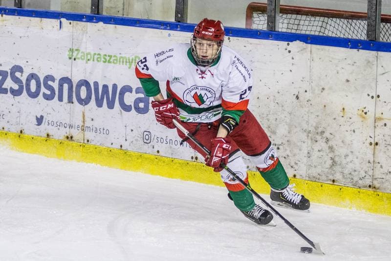 Ice Hockey. PHL. Zaglebie Sosnowiec - Energa Torun. 29.01.2021