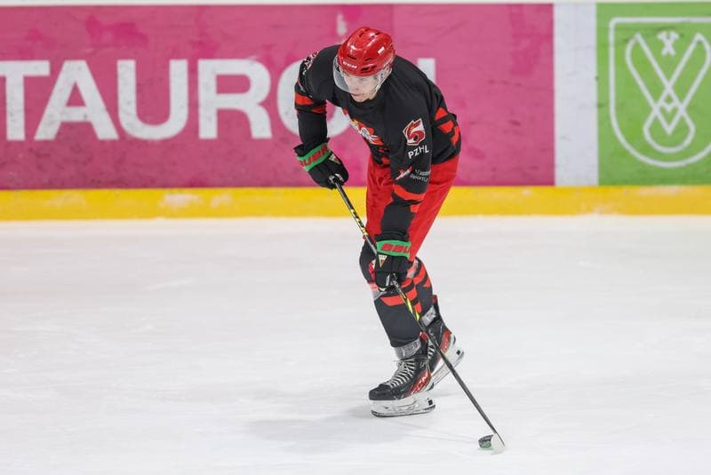 Ice Hockey. Poland national team. Training. 10.12.2023