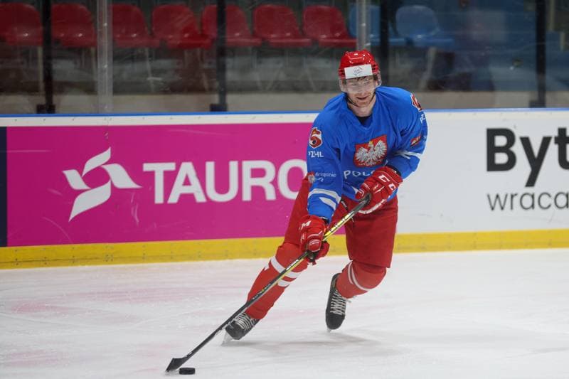 Ice Hockey. Poland national team. Training. 22.04.2024