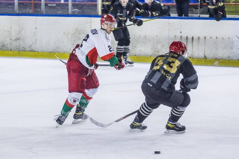 Ice Hockey. PHL. Zaglebie Sosnowiec - Comarch Cracovia. 07.12.2021