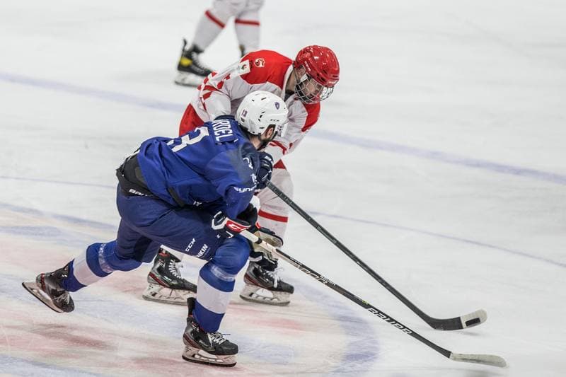 Ice Hockey. EIHC Christmas Cup. Poland - France. 16.12.2021