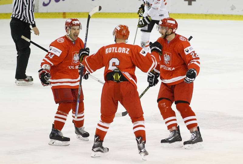 Ice Hockey. Euro Ice Hockey Challenge. Poland - Austria. 07.11.2015
