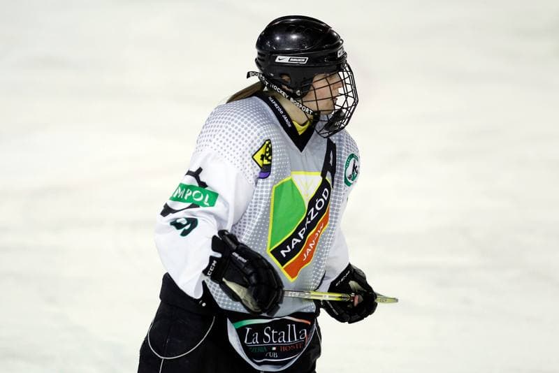 Ice Hockey. PLHK. Naprzod Janow - Atomowki Tychy. 03.02.2018