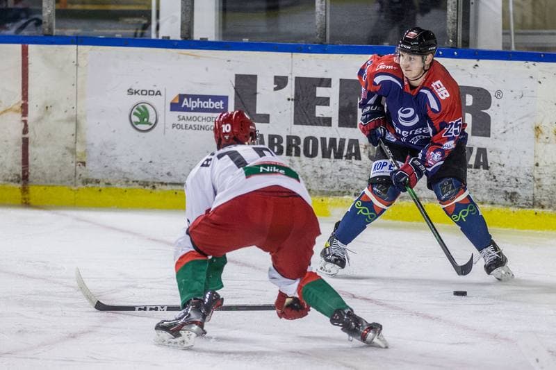 Ice Hockey. PHL. Zaglebie Sosnowiec - Energa Torun. 29.01.2021