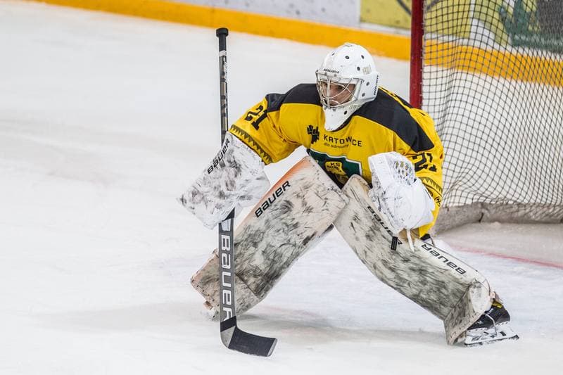 Ice Hockey. PHL. GKS Katowice - Comarch Cracovia. 19.02.2021