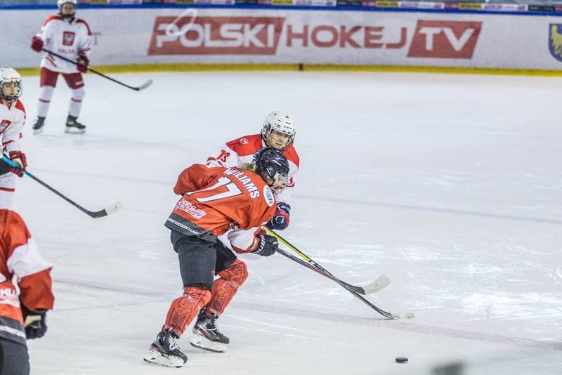 Ice Hockey. EWHL. Polska - KMH Budapeszt. 21.02.2021
