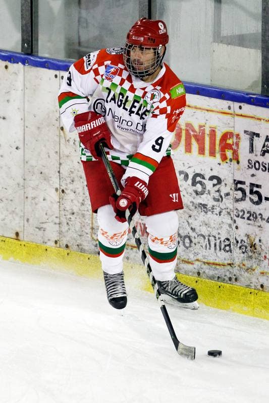 Ice Hockey. Polska Hokej Liga. Zaglebie Sosnowiec - KH Energa Torun. 21.10.2018