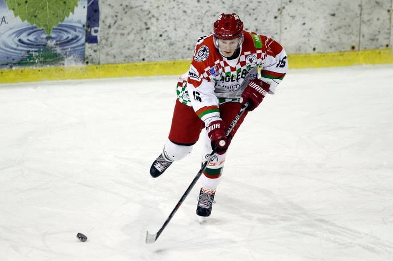 Ice Hockey. Polska Hokej Liga. Zaglebie Sosnowiec - Comarch Cracovia. 22.01.2019
