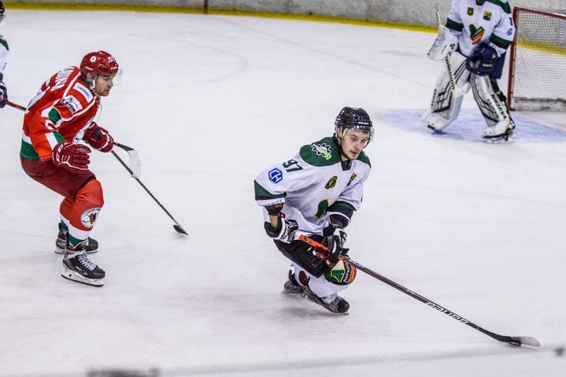 Ice Hockey. PHL. Naprzod Janow - Zaglebie Sosnowiec. 03.11.2019